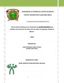 SOCIAL MEDIA MARKETING COMO HERRAMIENTA DE POSICIONAMIENTO