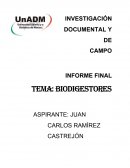 Informe final biodigestor