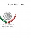 Cámara de diputados