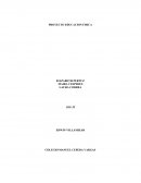 CLASE DE AEROBICOS CON ZUMBA