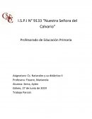 Cs. Naturales y su didáctica II