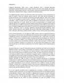 Internacional publico