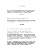 SINDICALISMO Y SU EVOLUCION