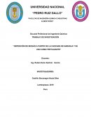 Obtención de biogás a partir de la cascara de naranja y su uso como fertilizante