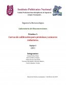 Laboratorio de Bioconversiones