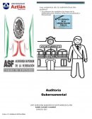 La auditoria Gubernamental