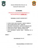 PROYECTO DE INVESTIGACIÓN DE LA MICROEMPRESA “GUMS ICE ”