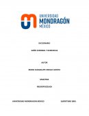 Diccionario Neuropsicologico