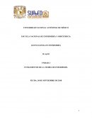 Fundamentos de la teoría de Enfermería