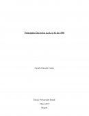 Principios Eticos En La Ley 43 De 1990