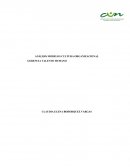 ANÁLISIS MODELOS CULTURA ORGANIZACIONAL