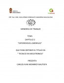 TEMA CAPITULO 3 “EXPERIENCIAS LABORALES”