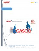 Caso Gasco