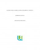 INFORME PLAN DE ACCION ONU