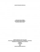 ANALISIS FINANCIERO GRUPO OMEG SAS