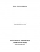 ENSAYO DE LA EVOLUCIÓN DE SST