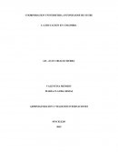 Adminiastracion y negocios internacionales. La educacion en Colombia