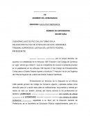 Ejecutivo Mercantil ante un Juez de Paz