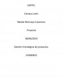 Proyecto de exportacion