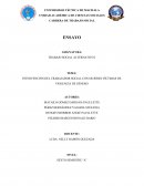 Ensayo sobre Intervencion del Trabajador Social frente a las mujeres victimas de violnecia de genero