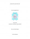 La vida de Amelia Earhart desde mi perspectiva