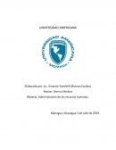 Situación económica regional y nacional 2010-2018