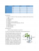 Resumen Fisiologia Vegetal