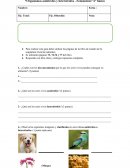 GUÍA EVALUADA “Organismos autótrofos y heterótrofos - Fotosíntesis” 6° básico