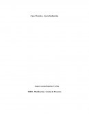 Planificación y gestión de proyectos Caso Práctico, Acorn Industries