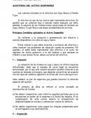 AUDITORIA DEL ACTIVO DISPONIBLE