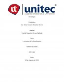 Las teorías de la Socialización