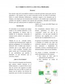 ARTICULO SOBRE EL CURRICULUM