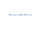 Parcial Organizacion
