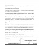 Historia del Hombre, Los Primeros homínidos