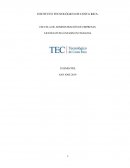 Ensayo Asegurar la estrategia por medio de la gestión del riesgo, EMPRESA HUAWEI