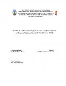 Pasantias profesionales en un buque