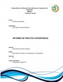 INFORME DE PRÁCTICA SUPERVISADA