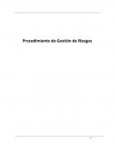 Procedimiento de Gestión de Riesgos