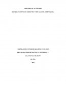 EXPERIENCIA EN LOS AMBIENTES VIRTUALES DE APRENDIZAJE