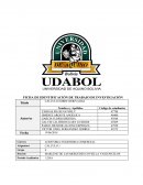 CÁLCULO SOBRE DERIVADAS