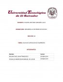 GUIA DE EJERCICIOS DE SUBREDES