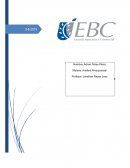 Generalidades de los presupuestos