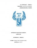 ESTRUCTURA DE LA COMUNICACION