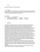 Energía solar fotovoltaica en fincas productoras