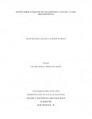 RESEÑA SOBRE ELEMENTOS DEL DIAGNOÓSTICO, CULTURA Y CLIMA ORGANIZACIONAL