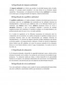 Significado de impacto ambiental