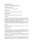 EMOCIONES EXPRESADAS EN UN PLATO