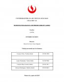 Presentación Individual