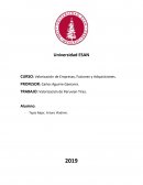 ANÁLISIS CRÍTICO DE VALORIZACIÓN DE WONG
