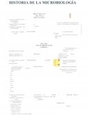 Línea del tiempo microbiología